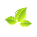 Nature Desk Web Solutions offers creative and effective Website design/redesign, logos and support services which reflect our customers' philosophies and goals.