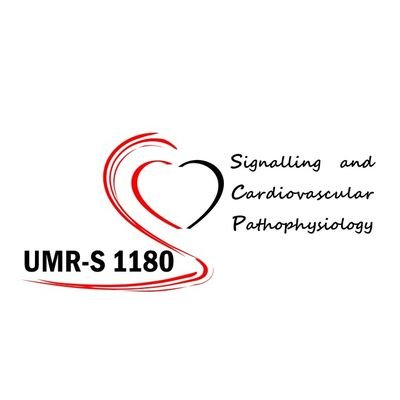 Signaling and cardiovascular pathophysiology, Inserm, Université Paris Saclay.