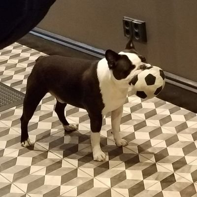 miraclemiracle1's profile picture. スノのオレンジくんとWEST.の緑くんが好き。無言フォローすみません。