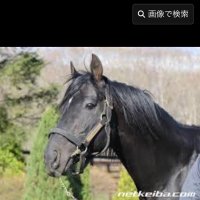 キズナ (@takumi18110524) 's Twitter Profile