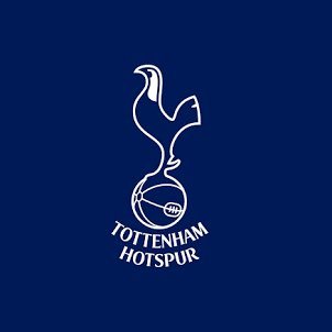 某事業会社で働く公認会計士/趣味ツイートご無礼/Japanese Certificated Public Accountant/#COYS/Tottenham Hotspur/To dare is to do.