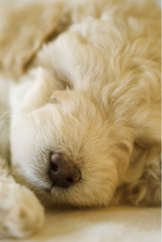 KenMatsu1109's profile picture. MHXX買ったどーっ！PSO2 シップ2ですがお休み中。しばらくはモンハンにどっぷりはまりそう。