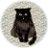 黒猫アル