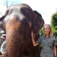 Susan Galloway (@gallowaysusie) 's Twitter Profile Photo Susan Galloway (@gallowaysusie) 's Twitter Profile Photo