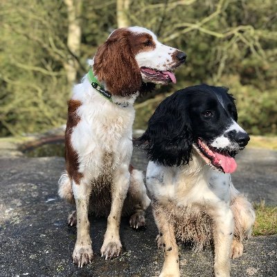 Runner, cyclist, spaniel owner, lucky enough to be around the Northumberland Coast; Parish Councillor, likes good beer and food. Opinions are my own.