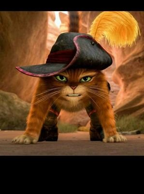 AliyuJido1's profile picture. 