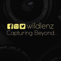 WildLenz (@wildlenz) 's Twitter Profile