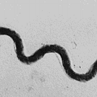 sreverby (@sreverby) 's Twitter Profile