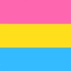 N somos bisexuais, N gostamos de objetos ou animais, somos #PANSEXUAIS e gostamos de #PESSOAS, em prol dos direitos iguais à comunidade #LGBTQ (ela/dela)