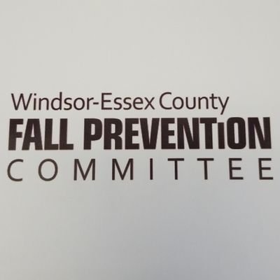 Our committee aims to explore a variety of potential strategies to reduce the burden of injury from a fall in our communities, particularly among older adults.