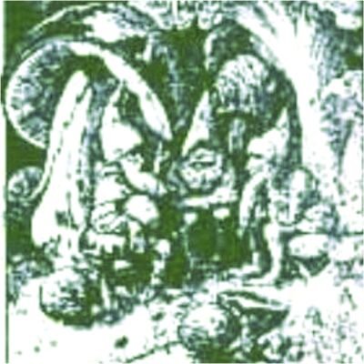 Llibreria Els Gnomsさんのプロフィール画像