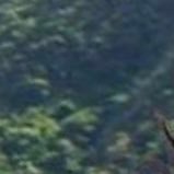 KarlaSccm's profile picture. 