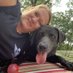 Kym Bartlett (@redmedic76_kym) Twitter profile photo Kym Bartlett (@redmedic76_kym) Twitter profile photo