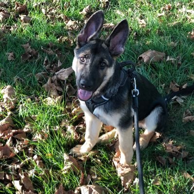 SahlinJennie's profile picture. Educator/ Middle School ELA & SS Instructional Coach