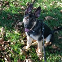 Jennie Sahlin (@sahlinjennie) 's Twitter Profile Photo Jennie Sahlin (@sahlinjennie) 's Twitter Profile Photo