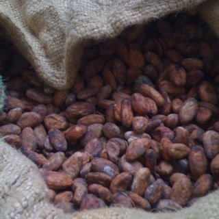 gustavo_marun's profile picture. 