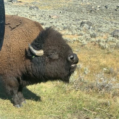 Kap2582's profile picture. U.S. Army Veteran • Patriot • Truth Seeker • America $SHIBARMY