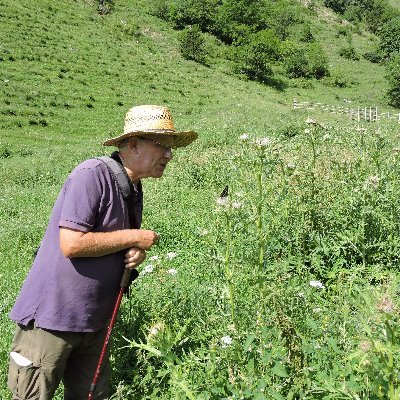 The Times Nature Notebook writer. Love of Nature, butterflies esp. Emperors, Knepp, rewilding. South Country man. Ex National Trust staff. Fighting arthritis.