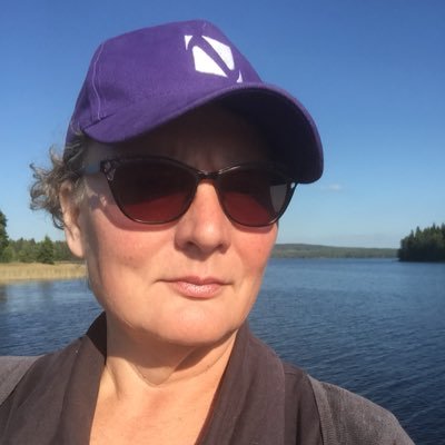 TarHau's profile picture. D. Sc. (Admin.) and Master of Arts. Authorized Guide and Tourist Guide. Cultural Director and part time Data Protection Officer. In X as a private person.