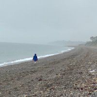 Naoya Mori (@b4mori1) 's Twitter Profile Photo