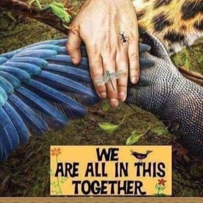 https://t.co/pNJXqXSOrj History repeats itself, we must do better! Human rights. ASD Mum 🐝 keeper #BLM #Resist No to Fascism...Always! #FBPE #FBPPR #NAFO
