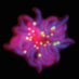 JacobsWagnerLab (@jacobswagnerlab) Twitter profile photo JacobsWagnerLab (@jacobswagnerlab) Twitter profile photo