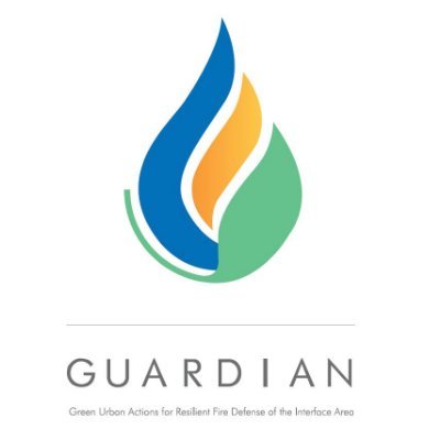 Proyecto Guardian Profile