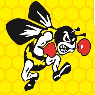 BBHHS - Go Bees