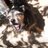 JohnBro43660365's avatar