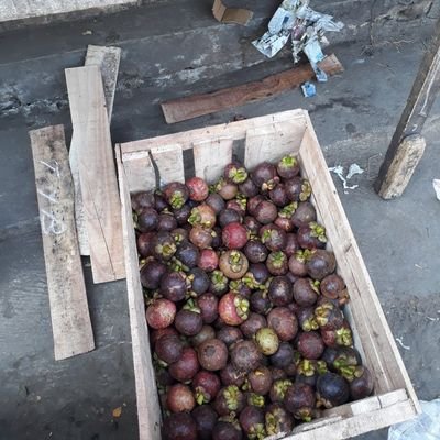 Atma56674416's profile picture. serius DM