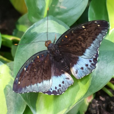 csbfarrell's profile picture. 