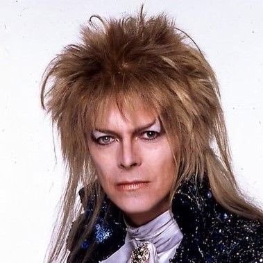 guarding_castle's profile picture. єvєrчthíng í'vє dσnє í'vє dσnє fσr чσu ⚜️Lαвчrínth ⚜️ gσвlín kíng ~fake