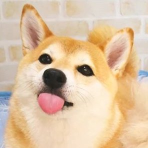 ChromAsheさんのプロフィール画像