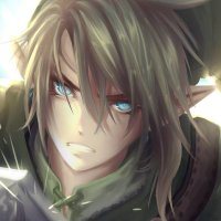 πΉπ£π πππ ππ γGreen Linkγ (@broccolilink) 's Twitter Profile