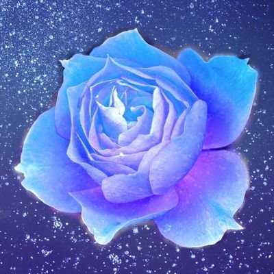 mami-ameさんのプロフィール画像
