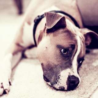 TheMonsterCash's profile picture. 