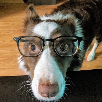 dutodd's profile picture. Philly sports fan, wine enthusiast, bike snob