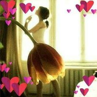 Hoda Abd Elaziz (@elaziz_hoda) 's Twitter Profile