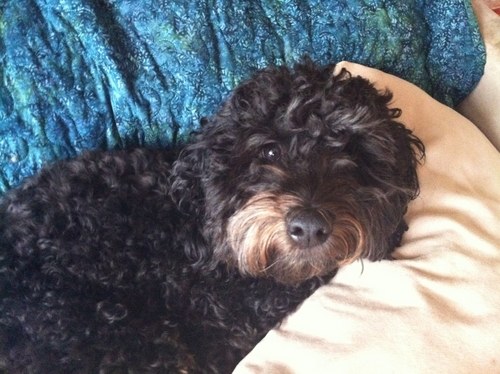 MattAvellar's profile picture. 