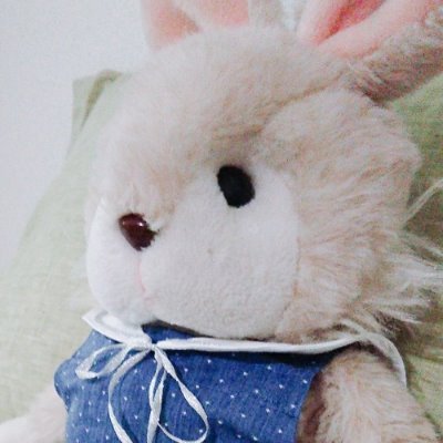 りくさんのプロフィール画像
