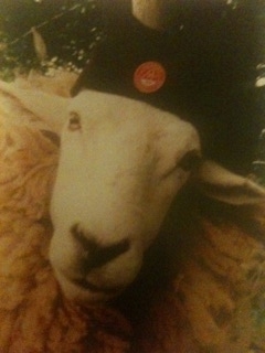 gallser's profile picture. 