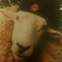 Gary Gall - @gallser - Twitter