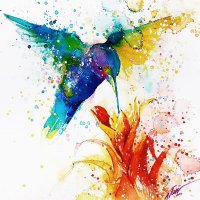 Radick (@radick75704557) 's Twitter Profile