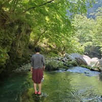 おとめっち (@yukirino48) Twitter profile photo