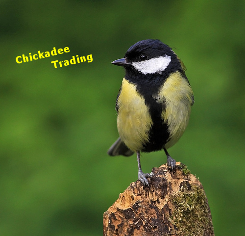 ChickadeeTradin's profile picture. Looking for online odd jobs, ad posting jobs, writing jobs and lead generation research for companies. I have experience with script writing and sales training.