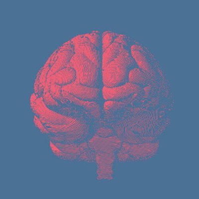 homoalgo's profile picture.