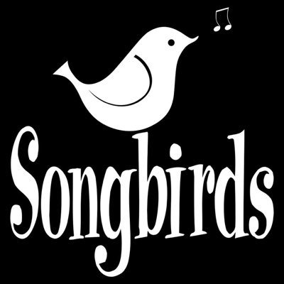 Songbirds are a group of 8 friends based in North Cornwall who love to sing. We sing a variety of songs from musical theatre to contemporary.