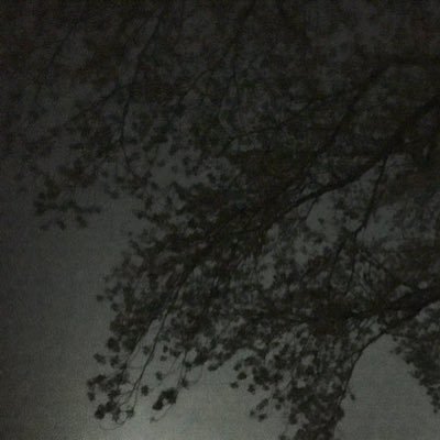 ゲームばっかしてます。 UnisonCode所属