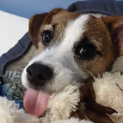 BethCoo65196179's profile picture. 