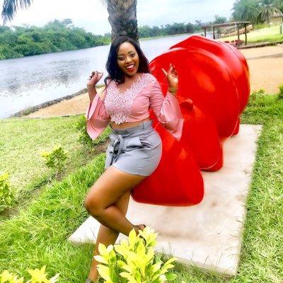 Segnonax's profile picture. 